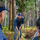 Image for article titled ‘Let’s Clear Some Cap Space,’ Says Stone-Faced Bill Belichick Watching Players Dig Own Graves